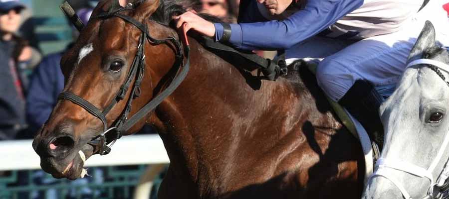 Betting Top Horse Races: Cigar Mile and Remsen at the Big A