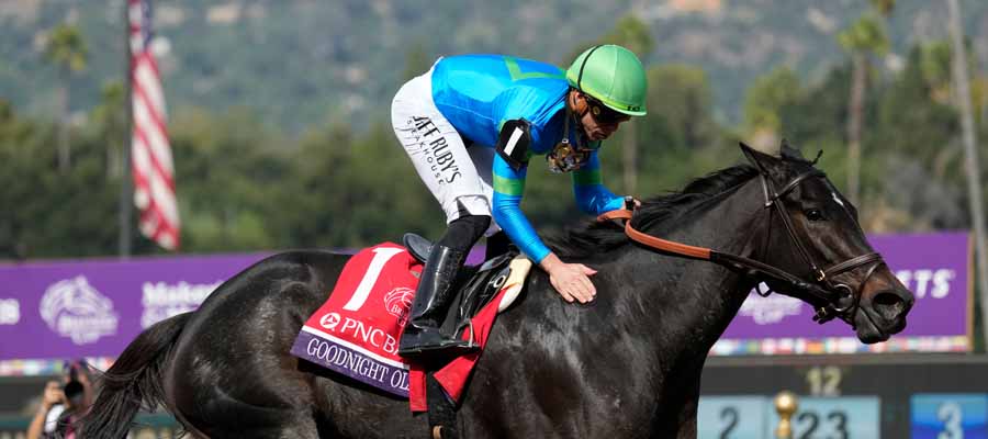 Betting Top Horse Races: Red Smith Stakes Plus More Grade 3 Races Worth Your Thought