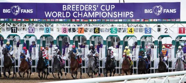 7 Reasons Your Breeders' Cup Win Bet Will FAIL (And the FIX: Contrarian Handicapping)