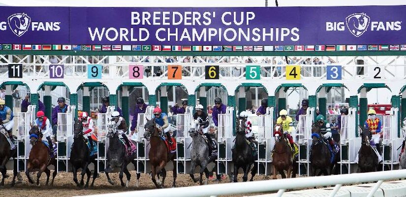 7 Reasons Your Breeders' Cup Win Bet Will FAIL (And the FIX: Contrarian Handicapping)