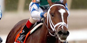 Materiality Might Be a Horse Betting Opportunity in Belmont Park