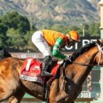 Horse Racing Quinella Explained