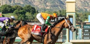 Horse Racing Quinella Explained