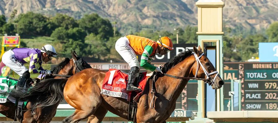 Horse Racing Quinella Explained