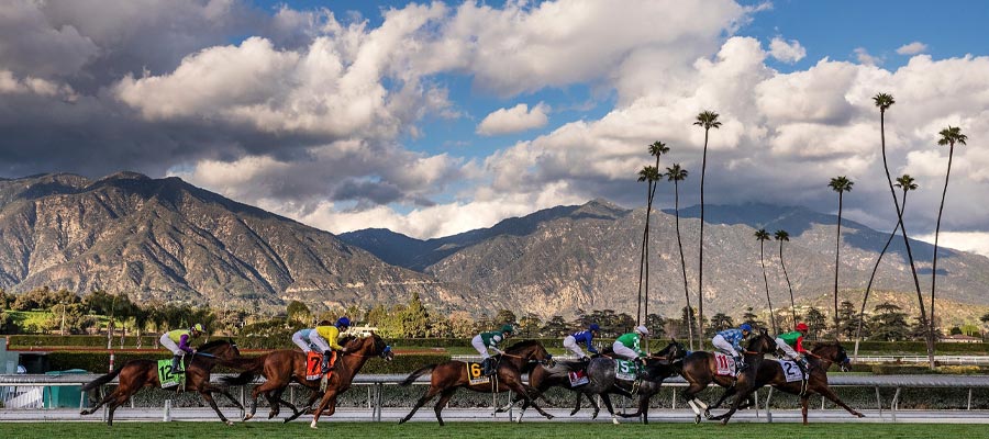 Top Stakes to Bet On: Aqueduct Racetrack to Santa Anita Park