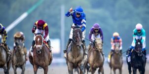 How to Bet on the Horse Racing Quinella