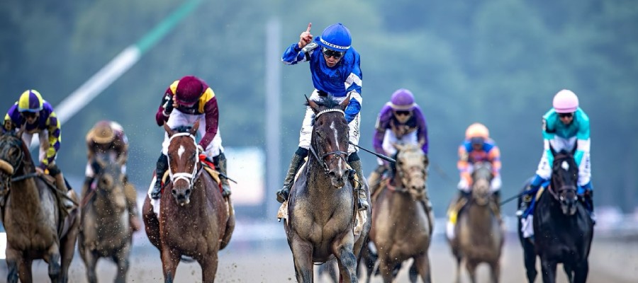 How to Bet on the Horse Racing Quinella