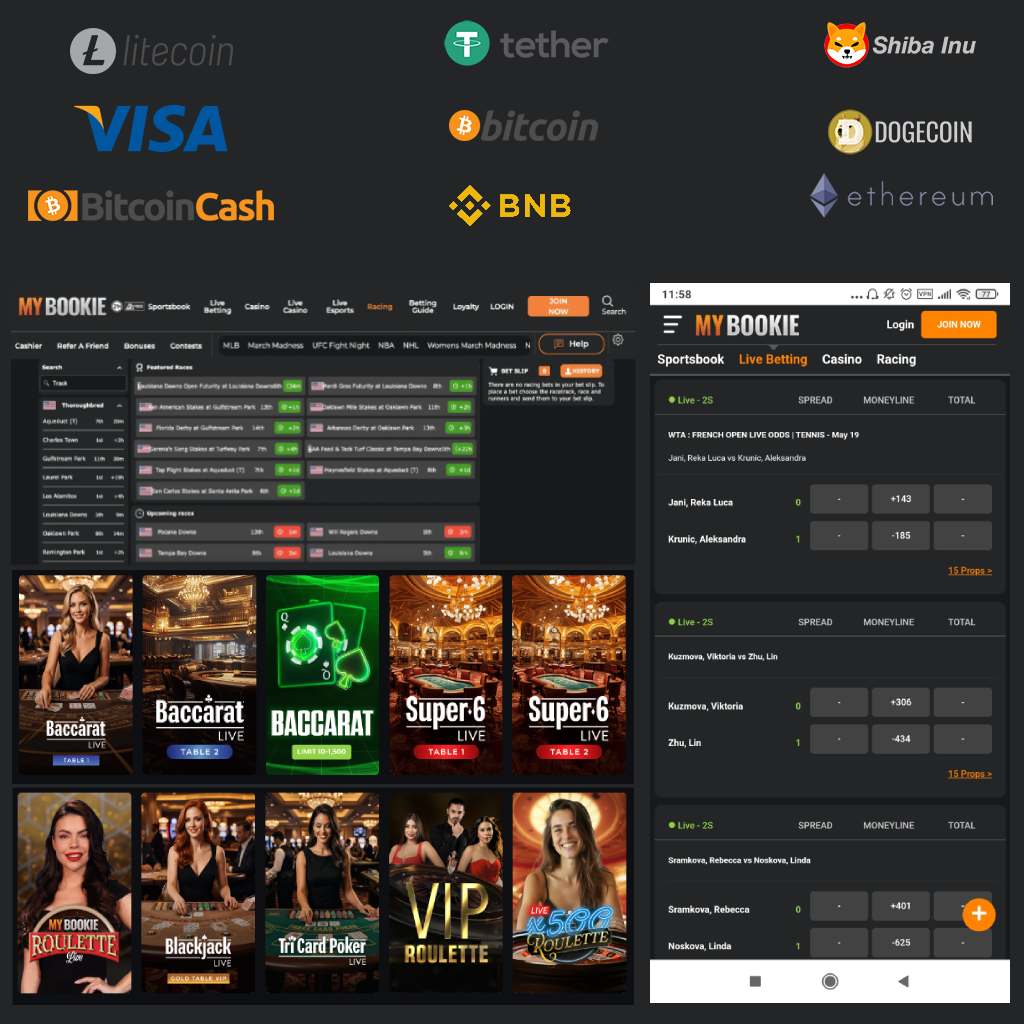 How to Start with MyBookie main features