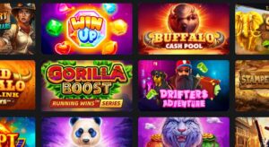 How to Choose the Best Online Casino: Let's MyBookie Help You