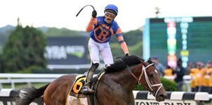 How it Works Horse Racing Multiple Betting System