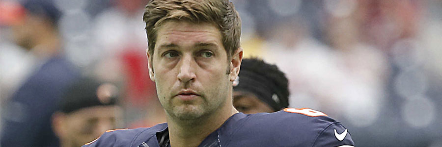 Jay Cutler as Replacement for Miami Dolphins' Ryan Tannehill