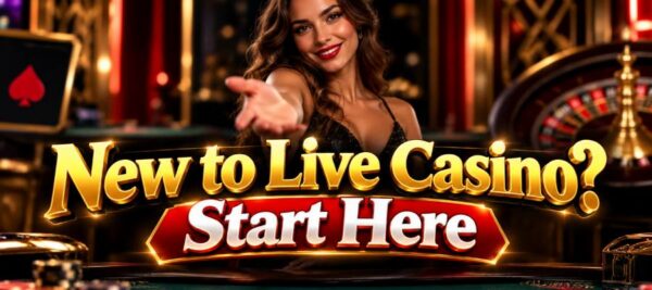 Live Dealer Casino Games: A Beginner's Guide for New Players