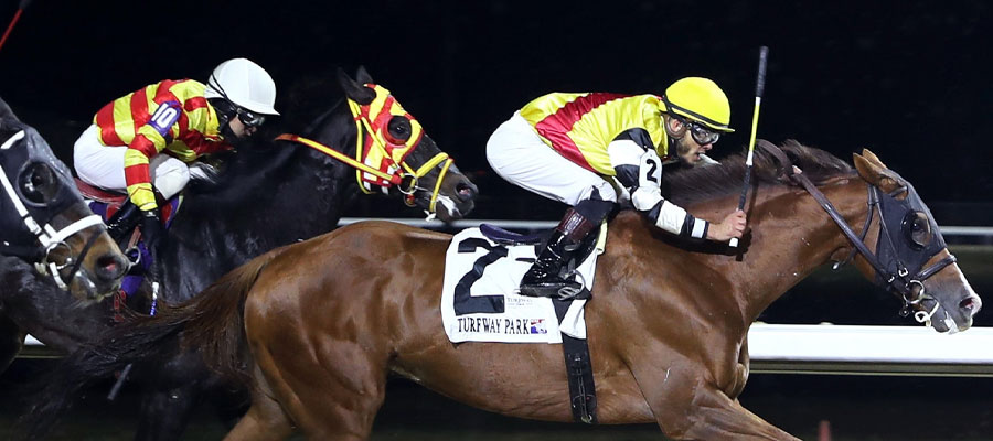 Live Horse Racing Odds and Betting Picks for Turfway Park and Fair Grounds this Week