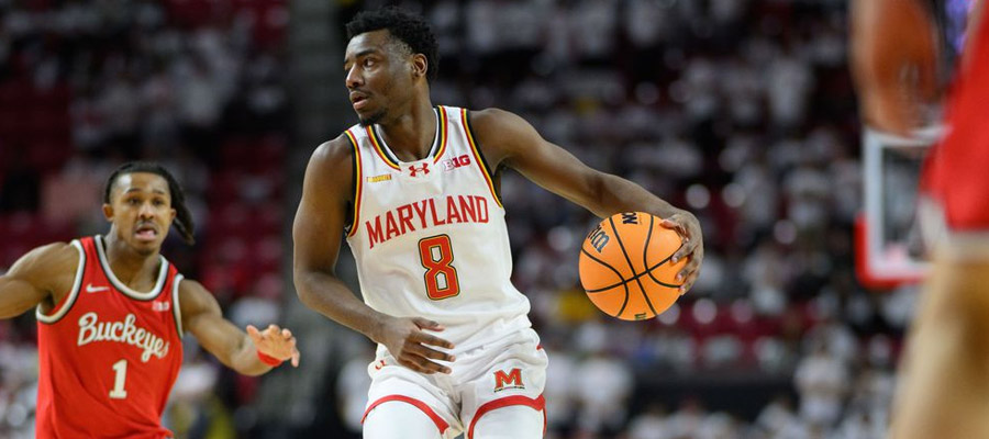 Maryland vs Ohio State NCAA Basketball Point Spreads Today, Prediction & Insights