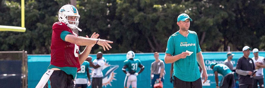Miami Dolphins 2019 NFL Season Betting Guide