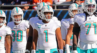 NFL Teams in the Playoffs History: Miami Dolphins