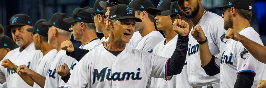 Are the Marlins a secure bet vs the Rays in the MLB odds?