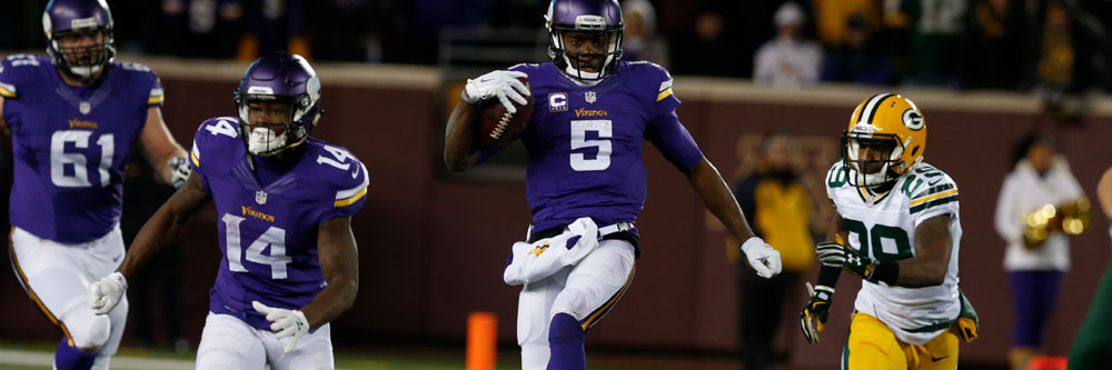The Minnesota Vikings had a very good season to reach the playoffs for the first time since 2012.