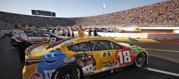 Track Odds and Driver's Performance to Plan your NASCAR Predictions every Week