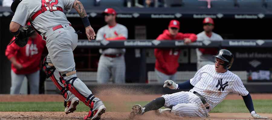 New York Yankees vs St. Louis | MLB Game Predictions & Betting Odds