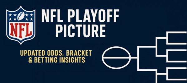 Current Picture of the NFL Playoffs Odds: If they started Today