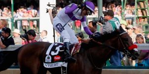 Nyquist to Win Preakness Stakes with Current Betting Odds