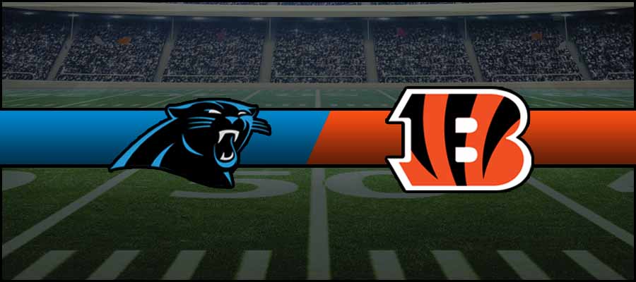 Panthers vs Bengals Result NFL Score
