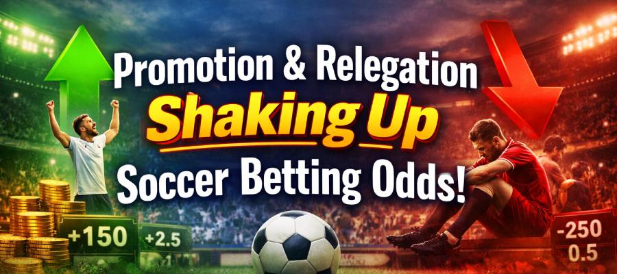 Promotion and Relegation Impact on Soccer Betting Odds and Markets