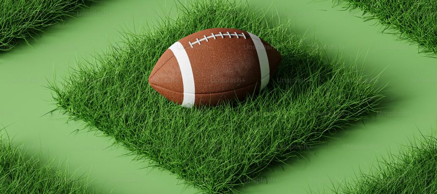 Seven Tips That NFL Gambling Pros Use to Win When Betting on Season