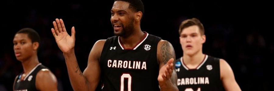 Are the Gamecocks a safe bet vs Tennessee in the NCAAB lines?