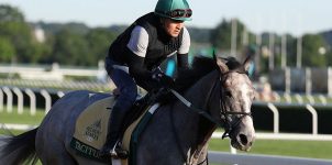 2019 Belmont Stakes Betting Favorites