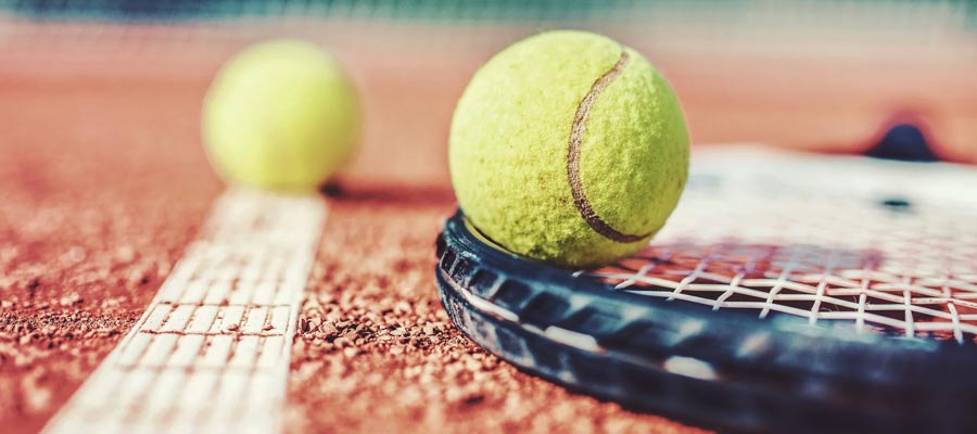 ATP 250 Predictions: Qatar ExxonMobil Open and Open 13 Provence