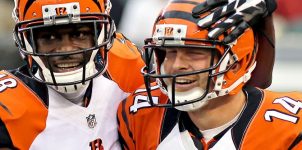 the-bengals-are-practically-a-sure-bet-to-take-the-AFC