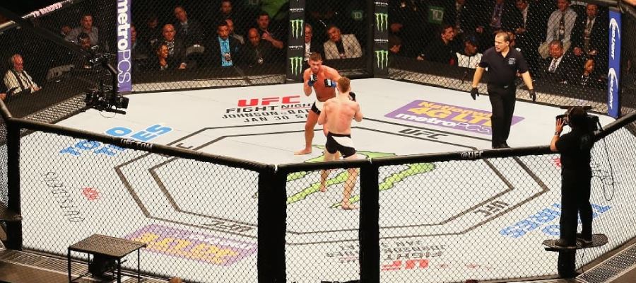 Top 10 Greatest UFC American Fighters of all Times