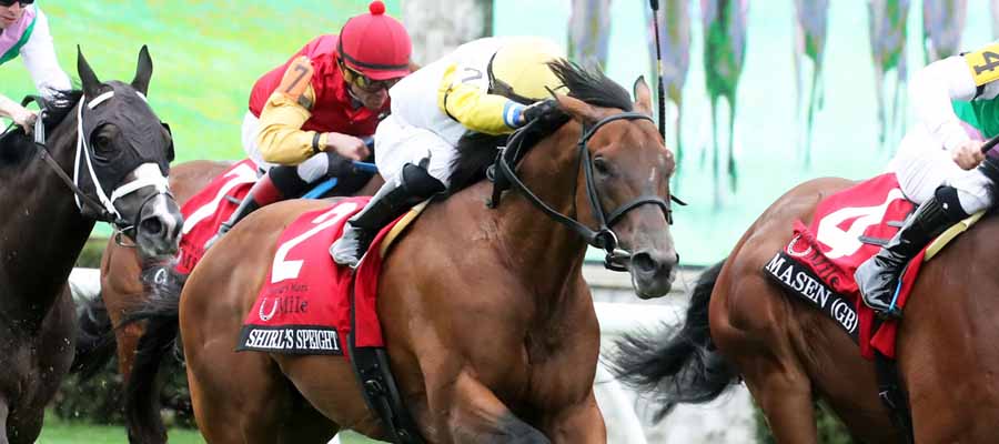 Top Stakes to Bet On: Keeneland, Aqueduct, and Oaklawn Park Races