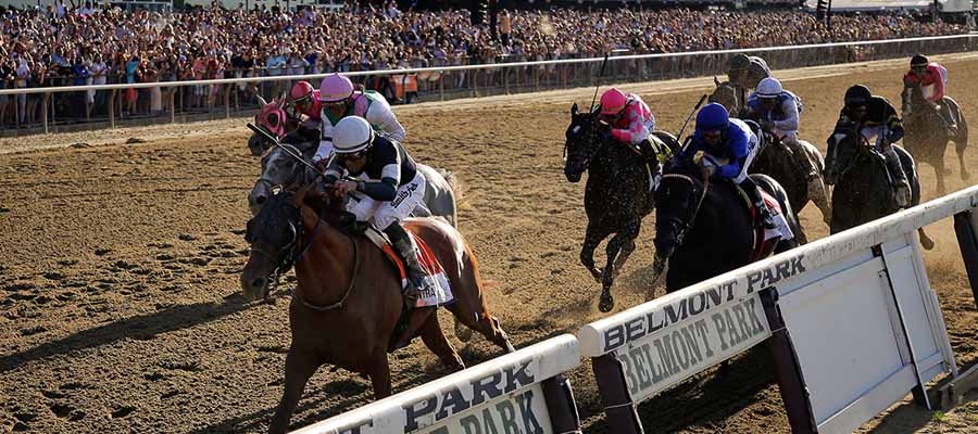 Top Stakes Races at Belmont Park this Weekend