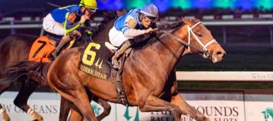 Top Three Horses That Will Give Us the Next Triple Crown