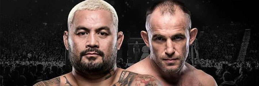 UFC Fight Night 136 Odds, Info & Expert Betting Predictions