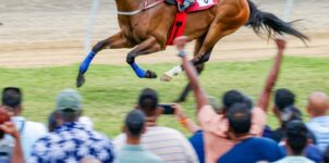 Understanding Tote Betting Systems: A Closer Look