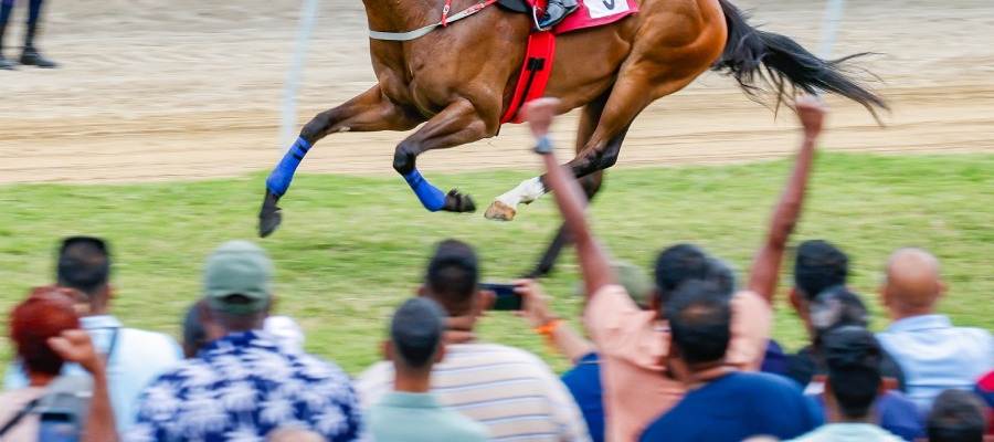 Understanding Tote Betting Systems: A Closer Look