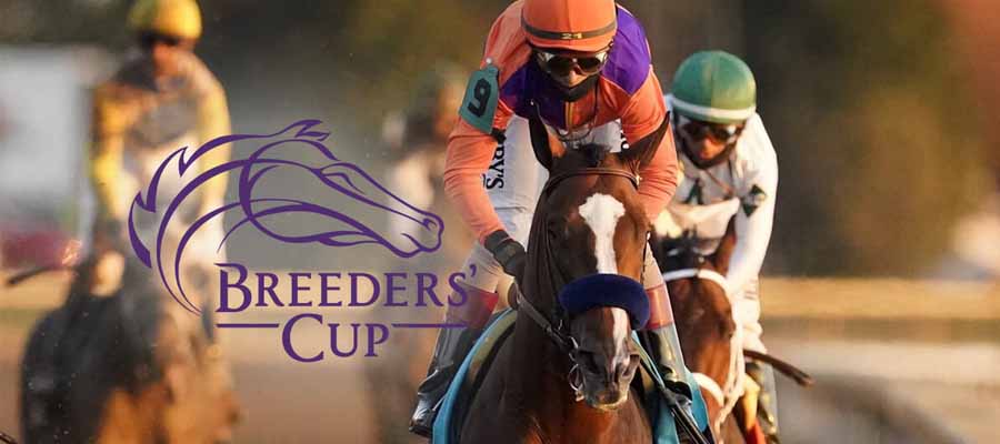 Early Updated Breeders' Cup Classic Odds