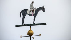 The Middle Jewel of the Triple Crown returns to Pimlico Race: The Weather Vane