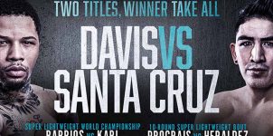 Davis vs Santa Cruz: Stats and Odds for the Fight
