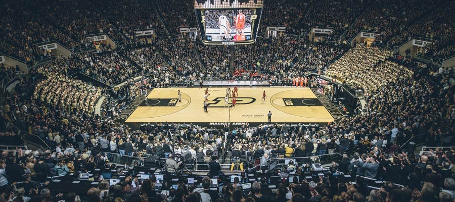 What a Game! Don't miss the Purdue vs Michigan Prediction & College Basketball Odds