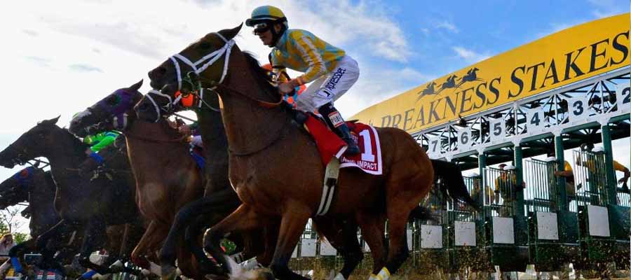 2023 Preakness Stakes Betting: What Horse Can Take Down the Derby Champ?