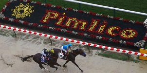 2016 Preakness Win, Place, and Show Picks