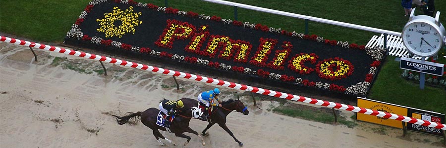 2016 Preakness Win, Place, and Show Picks
