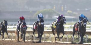 Win, Place and Show Wagering Explained