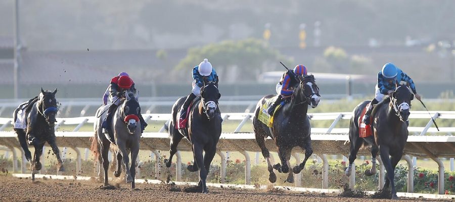 Win, Place and Show Wagering Explained