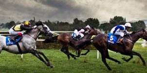 Win, Place and Show Wagering Explained